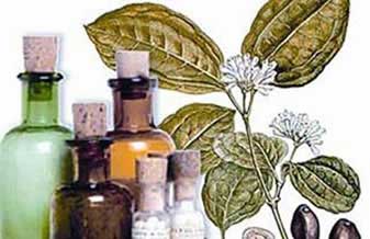 Farmácia Homeopática Raiza - Foto 1