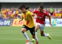 Inscrições Campeonato Paulista Cadete