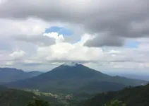 saúde pública