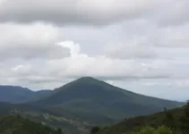 SP Repórter