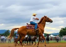 Festa do Peão de Itapecerica da Serra