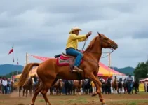 maior festa do peão da Grande São Paulo