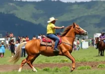 Festa do Peão de Itapecerica da Serra 2026