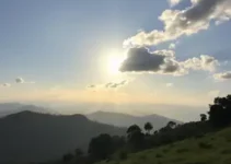 sol