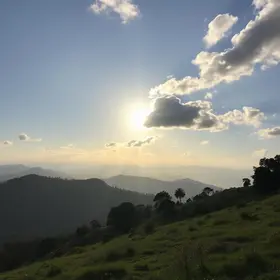 sol