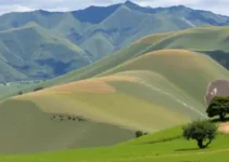 vagas remanescentes Taboão da Serra
