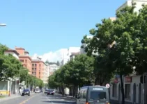 Plano Municipal de Mobilidade Urbana