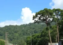 período eleitoral