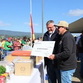 arrecadação de alimentos