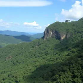 conisud revela sudoeste