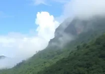 previsão do tempo