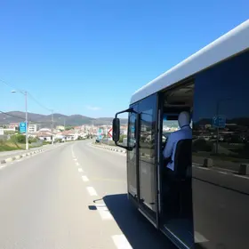 transporte gratuito para pessoas com deficiência