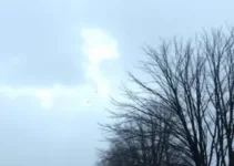 tempo nublado e frio