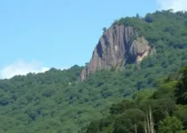 Itapecerica da Serra (SP) votação para presidente