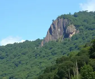 Itapecerica da Serra (SP) votação para presidente