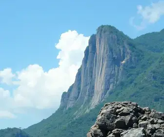 votação para presidente