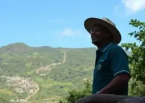votação Itapecerica da Serra