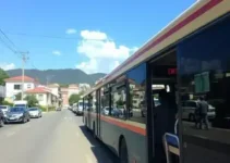 transporte gratuito no domingo de eleição