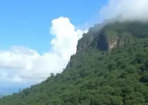tempo em Taboão da Serra